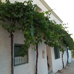 Siete Encantos , Tahal España